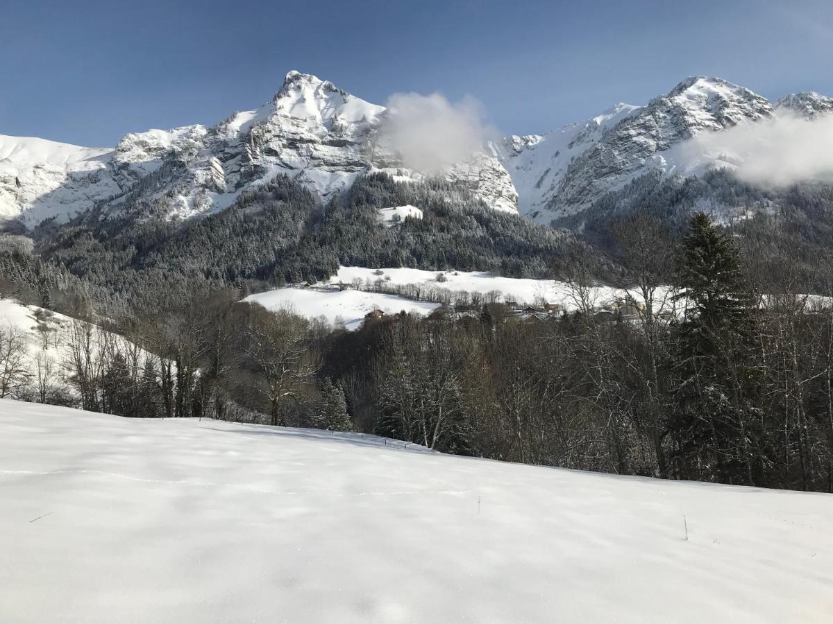 Magnifique T3 Entre Lac Et Montagne Pres D'Annecy Montmin Ngoại thất bức ảnh